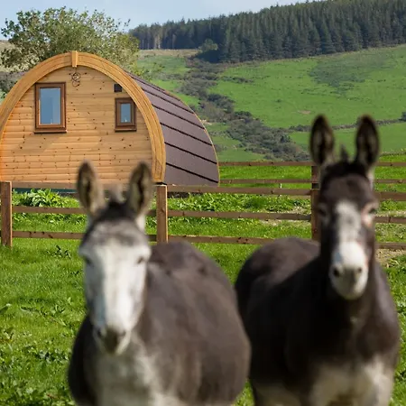 Luxury Two-Bed Glamping Pod In County Clare